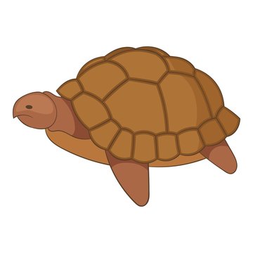 Turtle icon, cartoon style