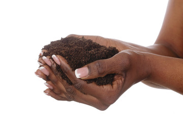 mains femme noire tenant motte de terre