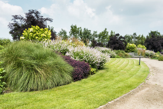 Fototapeta big garden with plants and flowers