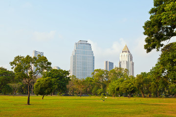 Lumpini Park Backdrop of the city In Bangkok, Thailand