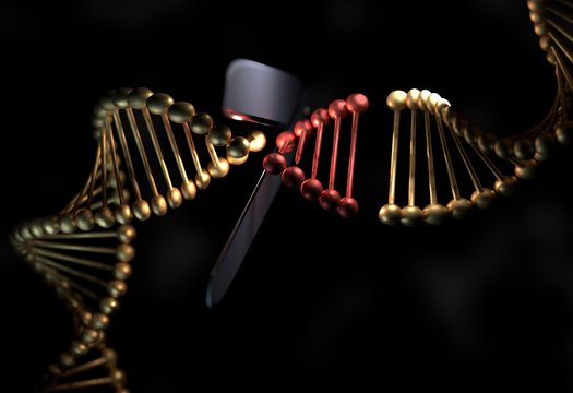 DNA cut the part with a scissor 3d illustration