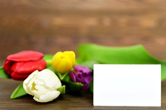 Blank greeting card with colorful tulips