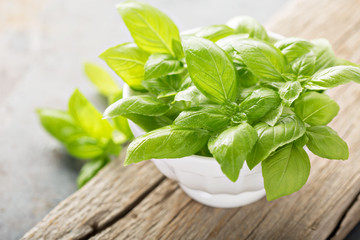 Fresh green basil leaves on a rustic board
