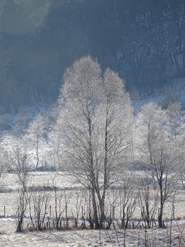 colma di sormano como