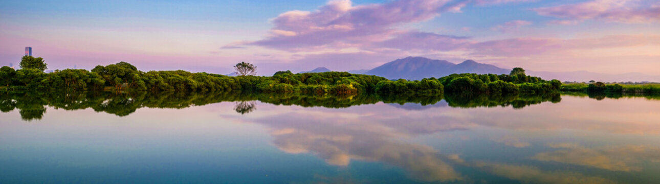 Wetland at twilight