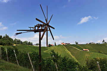 Weinbau in derSteiermark