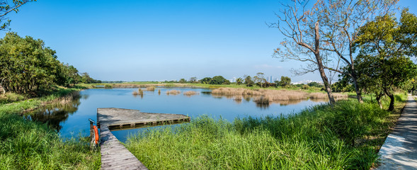 Wetland near city