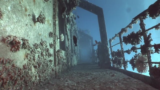 Deck of ship Salem Express wrecks underwater in the Red Sea in Egypt. Extreme tourism on the ocean floor in the world of coral reefs, fish, sharks. Researchers of wildlife blue abyss. Deep diving.