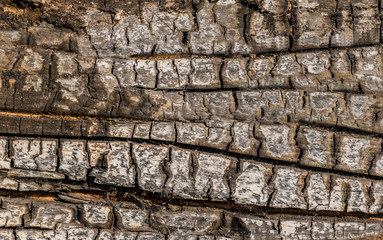  Burnt wood background texture