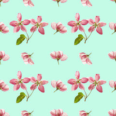 Apple. Seamless pattern texture of flowers. Floral background, photo collage