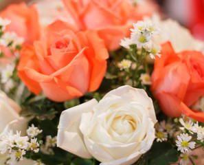 Bouquet of beautiful colorful roses. Valentines day.