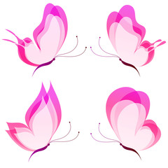 beautiful pink butterflies, isolated  on a white