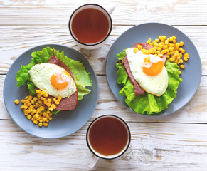 Toast with orange yolk fried egg for breakfast