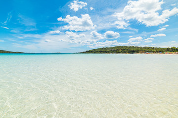 Clear water in Cala Brandinchi