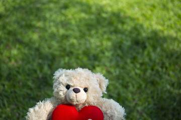 Cute teddy bear with red heart on green grass background, valentines day concept
