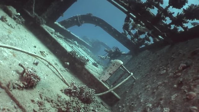 Bort of sunken ship on the seabed Salem Express underwater in Egypt. Extreme tourism on ocean floor in world of coral reefs, fish, sharks. Researchers of wildlife blue abyss. Deep diving.