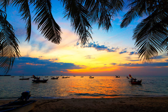 Dark silhouettes of palm trees and amazing cloudy sky on sunset at tropical island in Indian Ocean. Coconut Tree with Beautiful and romantic sunset. Koh Tao popular tourist destination in Thailand.