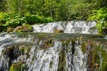 Calpa river with a cascade of small waterfalls. Russia, Novgorod region, Borovichi district