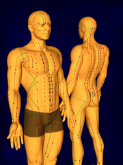 Acupuncture Model