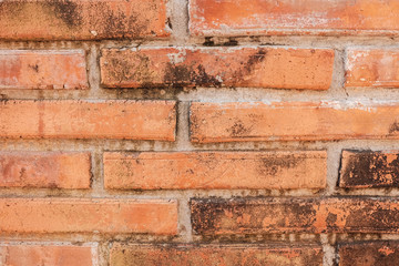 Close up abstract brick cement block