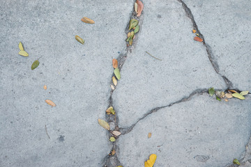 Obraz premium Close up abstract rough grunge concrete cement crack floor,wall texture background