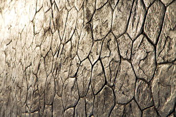   ceramics window wat  palaces in the    bangkok  asia