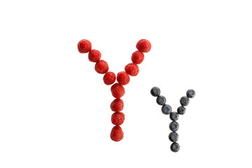 Alphabet from fresh fruit, raspberry and blackberry