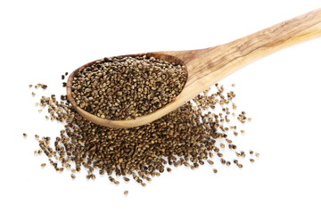 Hemp seeds isolated on white background