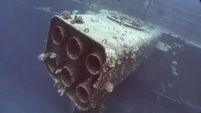 Corals on part of sunken ship Salem Express close up underwater in Red Sea. Extreme tourism on ocean floor in world of coral reefs, fish, sharks. Researchers of wildlife blue abyss. Deep diving.