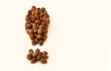 Group of raw hazelnuts in the shape of a exclamation point