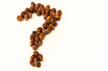 Group of raw hazelnuts in the shape of a question mark