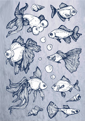set of fish 