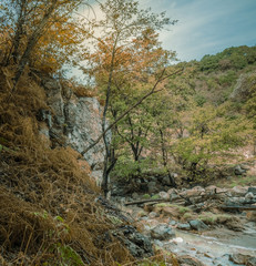 countryside