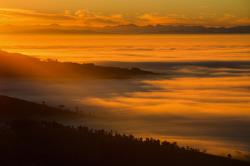 Orange light of dawn gilding the fog