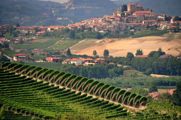 Wunderschöne Landschaft des Piemont mit Weinberg und Siedlung auf einem sanften Hügel