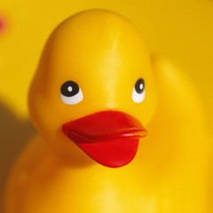 Yellow plastic duck