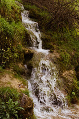 Fototapeta na wymiar Preciosas cascadas en un bosque en primavera 