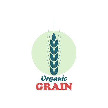Organic product logo design vector template. Ears of wheat and grain icon1