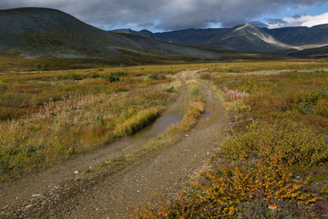 Country road leading into the mountains. Autumn in the mountains. Polar Urals. Russia.