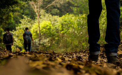 Fototapeta premium Trekking