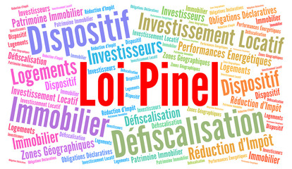 Loi Pinel nuage de mots