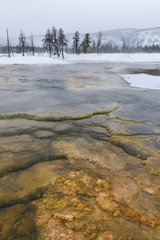 Yellowstone Hot Springs in Winter