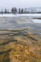 Fototapeta na wymiar Yellowstone Hot Springs in Winter