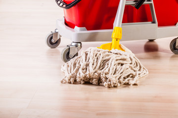 Mop cleaning detail