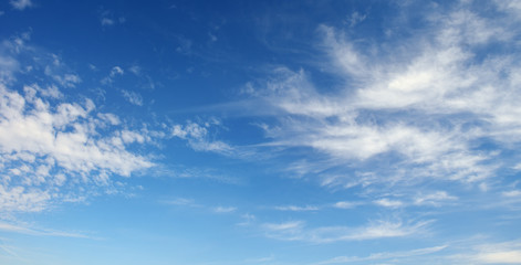 Naklejka na ściany i meble White cirrus clouds against the dark blue sky.