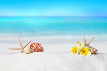 Fototapeta na wymiar pagoda, plumeria,Shells on sandy beach, Summer concept