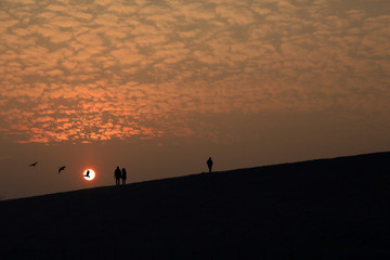 Ludzie na spacerze przy zachodzie słońca, ptaki.