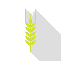 Wheat sign illustration. Pear icon with flat style shadow path.