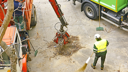 Servicios de poda y limpieza, Barcelona