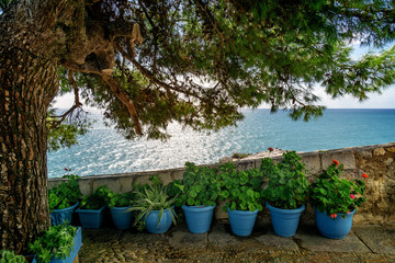 Terrace with view to the sea. Travel photo: Tree and flower on a terrace in Spain with view to the Mediterranean sea.